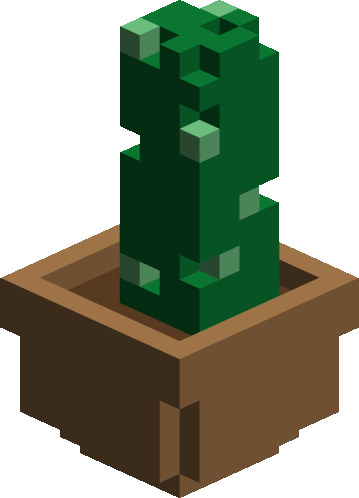 Cactus Pot Plant