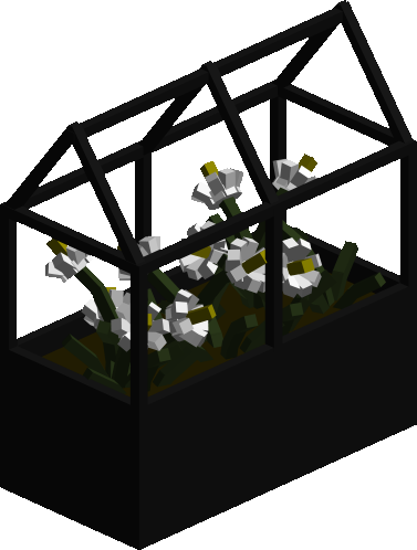 Small White Flowers in Planter