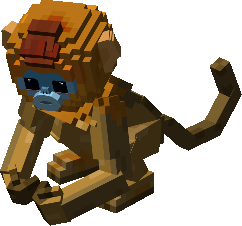 LoKo the Monkme