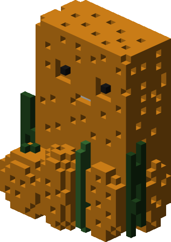 Sponges