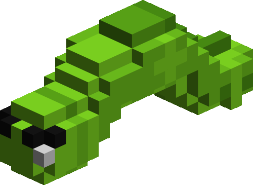 Caterpillars