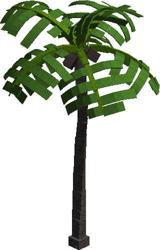 Caribbean Palm Tree