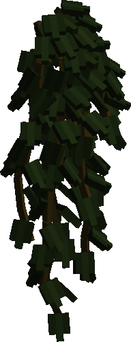 Twining Vine