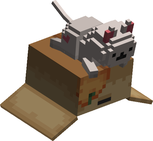 Kitty box
