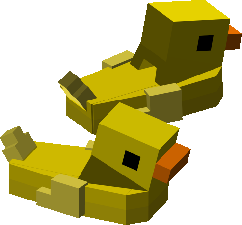 Duck Slippers