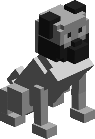 Silver Pug