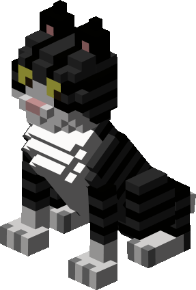 Dark Sabatora Cat