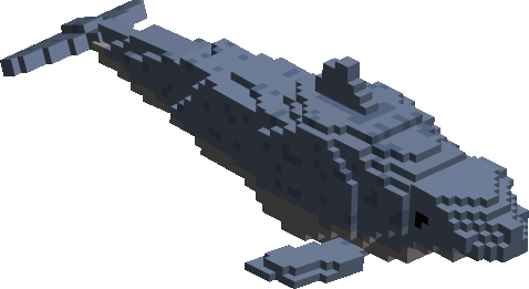 Dolphin