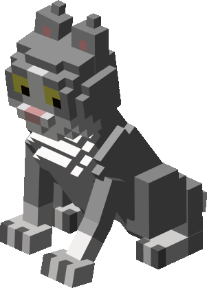 Gray Hachiware(bicolor)  Cat