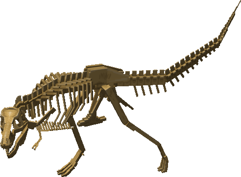 Tyrannosaurus Rex Fossil Display