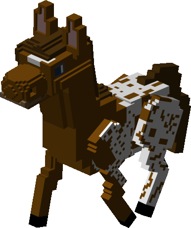 Appaloosa 