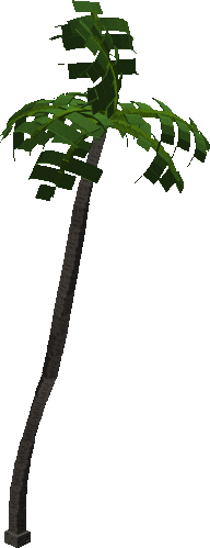 Royal Palm Tree