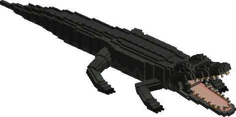 Crocodile