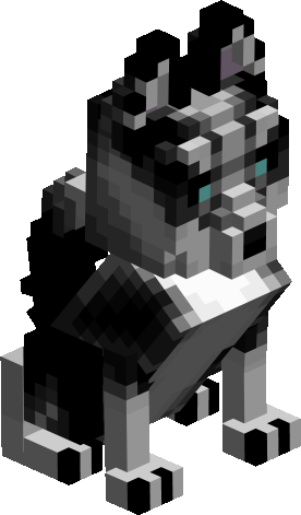 Husky - The Petshop