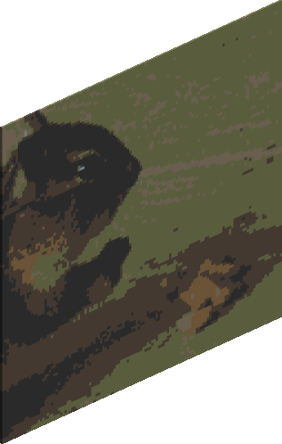 The_Squirrel