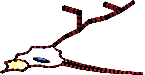 Red Ibis Scythe 4