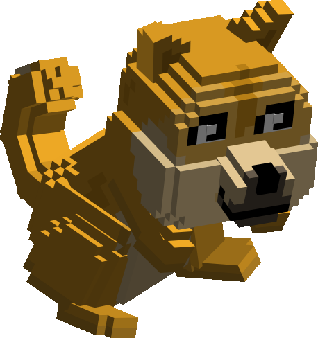 Doge on Head