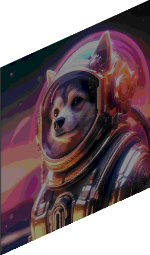 AIS_(Animals In Space)_Dog