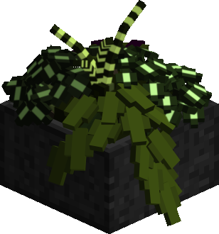Mixed Plant Planter