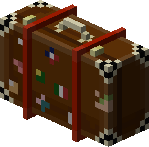 Leather Trunk