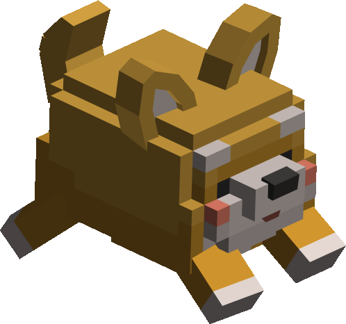 Shiba on the head