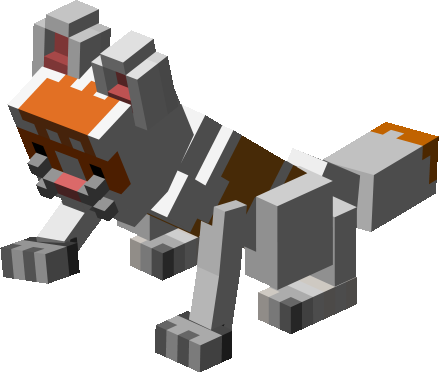crami cat