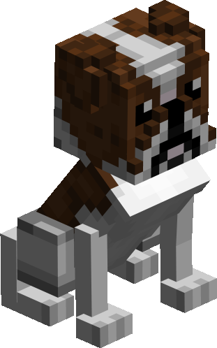 English Bulldog - The Petshop
