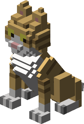 Chashiro Cat 