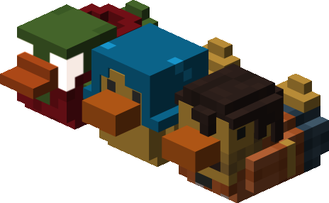 Streamer Ducks