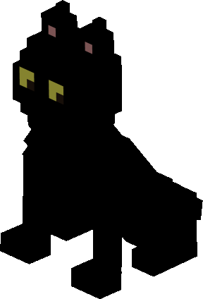 Black cat