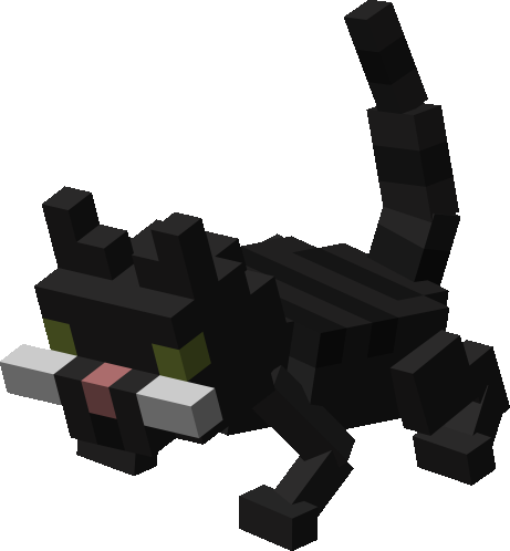 Black Kitten
