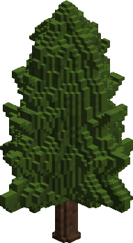 Pine