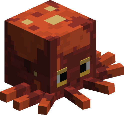 Curious Octopus