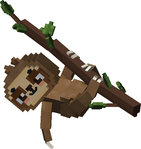 Dozing Sloth