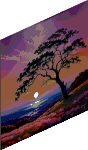 Paradise