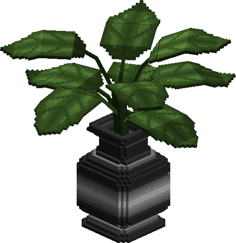 Potted House Plant