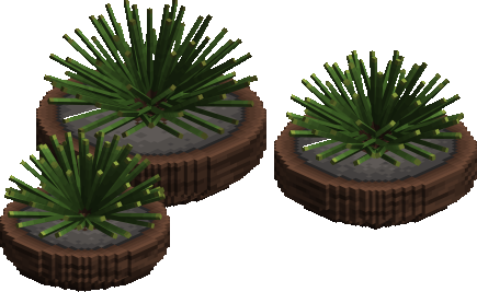 Modern Shrub Planters