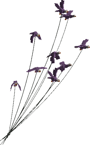The Birds - The Little Prince