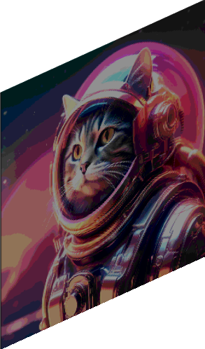 AIS_(Animals In Space)_Cat