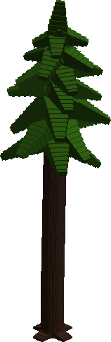 Massive Fir Tree
