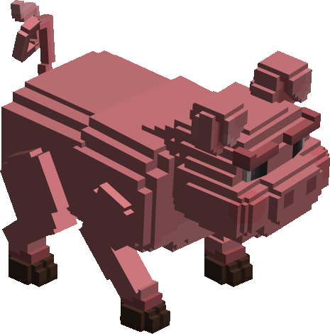 Farm Pig