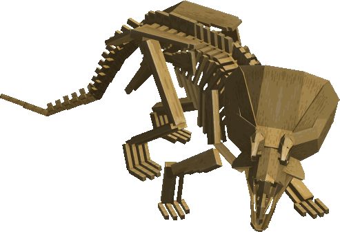 Triceratops Fossil Display