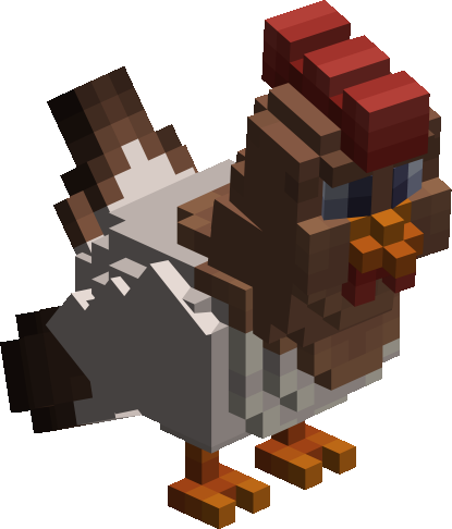 Farm Chicken